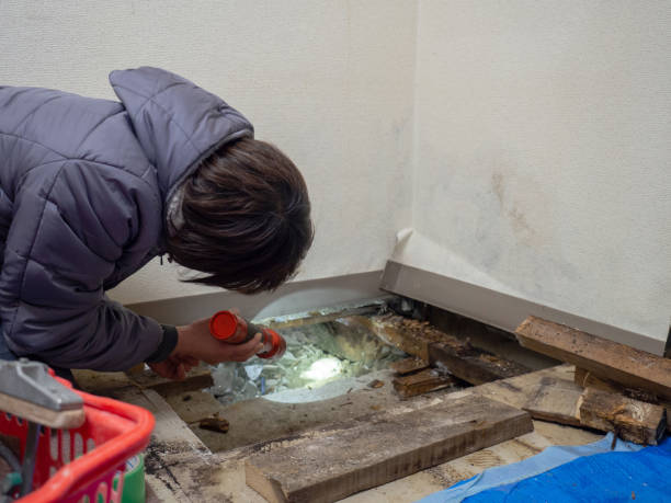 Best Water Damage & Mold Remediation  in Selma, AL