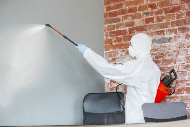 Best Post-Remediation Verification Testing  in Selma, AL