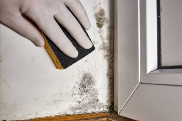 Best Air Quality Testing for Mold Spores  in Selma, AL